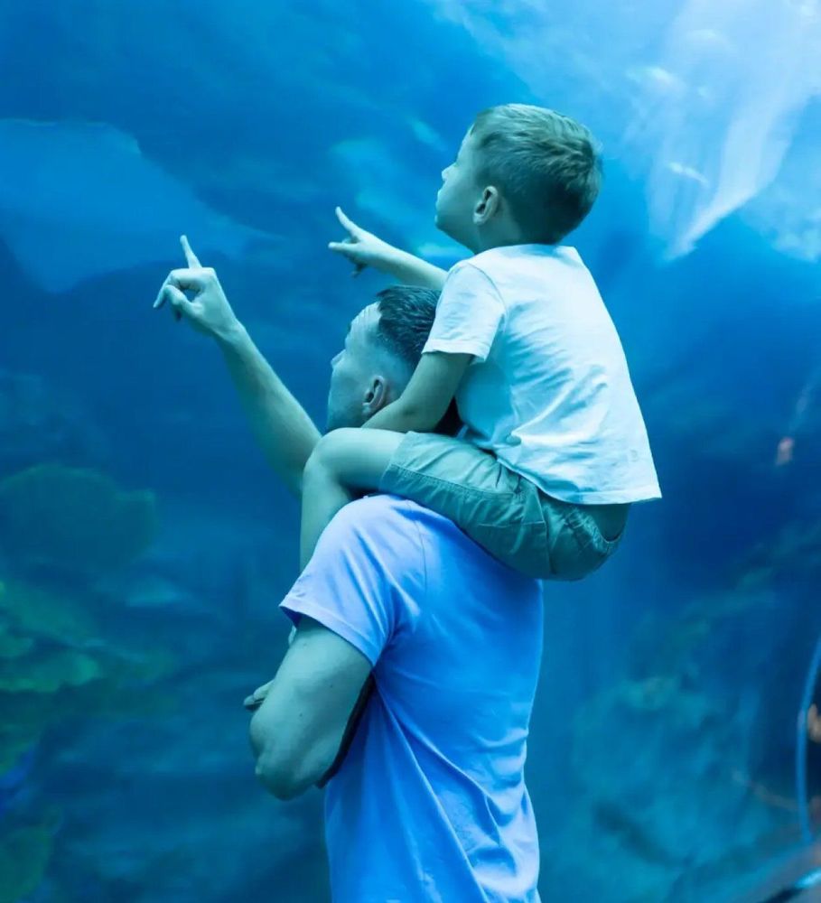 A partnership in digital evolution