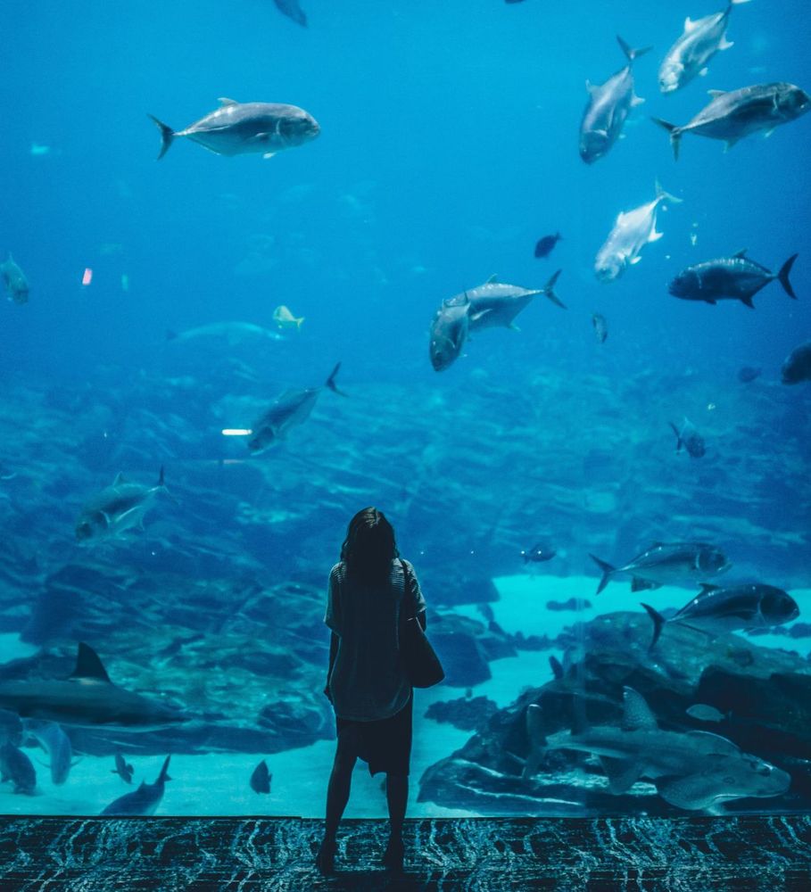 Delivering an email strategy for relationships & revenue