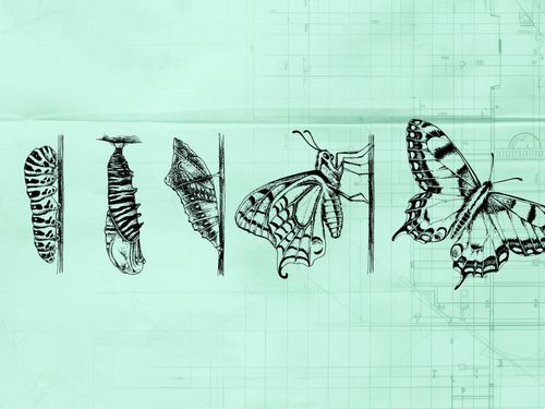 Experimentation & measurement