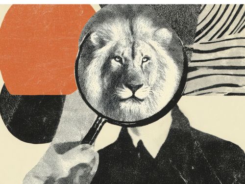 We drive authority in AI search.