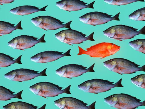 We leverage the entire ecosystem.